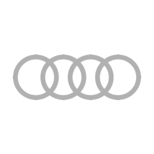 Partner Audi